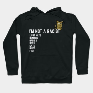 I'm Not a Racist, I Just Hate.... Hoodie